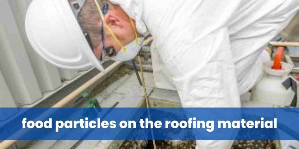 food particles on the roofing material