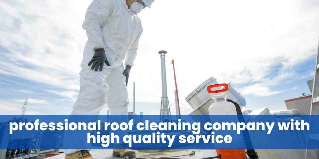 professional roof cleaning company with high quality service